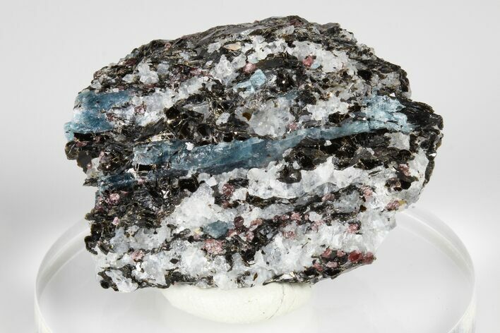 Blue Kyanite & Garnet in Biotite-Quartz Schist - Russia #178935